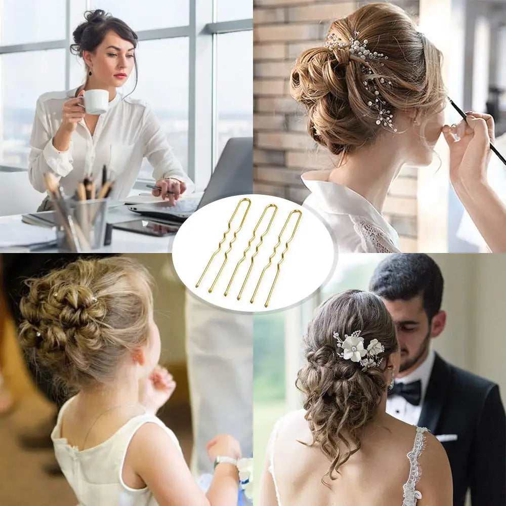 500-Pack U-Shaped Bobby Pins | Blonde, Black, Brown & Silver Hair Pins Set QXL
