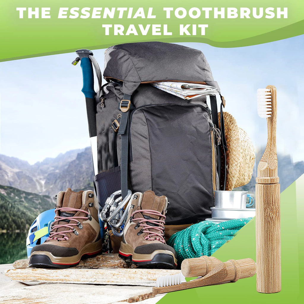 Eco Bamboo Toothbrush with Wooden Sleeve Tube | BPA-Free Bamboo Toothbrush QXL