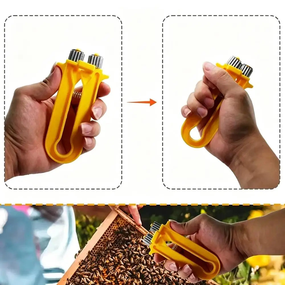 Beehive Frame Wire Tensioner & Crimper | Beekeeping Tool Beekeeping Frame Tool QXL