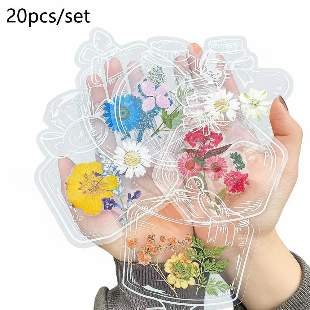 20-Pack Transparent Pressed Flower Bookmark Frames | DIY Craft DIY Craft Bookmark QXL A