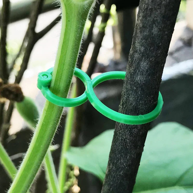 50/100 Garden Vine Strapping Clips Plant Bundled Buckle Ring Holder Tomato Garden Plant Stand Tool Garden Decoration Accessories QXL