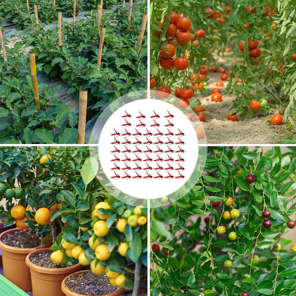 50-Pack Plant Grafting Clips for Tomatoes, Cucumbers & Melons Plant Grafting Clips QXL
