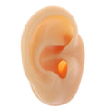 Silicone Ear Model – Piercing Practice & Ear Stud Display Tool Piercing Practice Tool QXL Left Nude