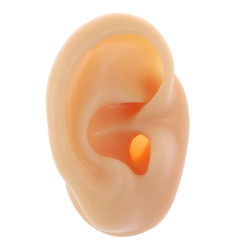 Silicone Ear Model – Piercing Practice & Ear Stud Display Tool Piercing Practice Tool QXL Left Nude