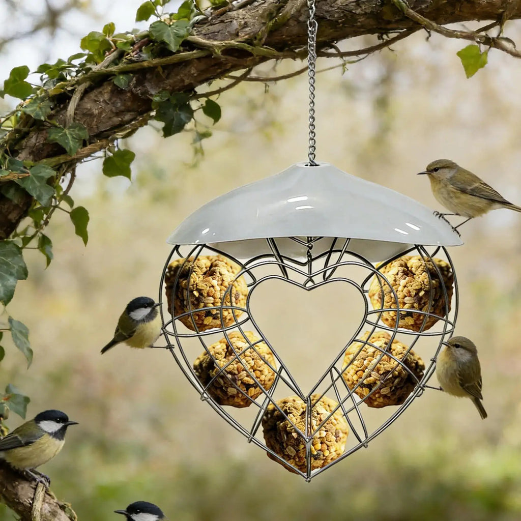 Heart-Shaped Outdoor Suet Ball Bird Feeder – PC & Steel Wild Bird Feeder QXL