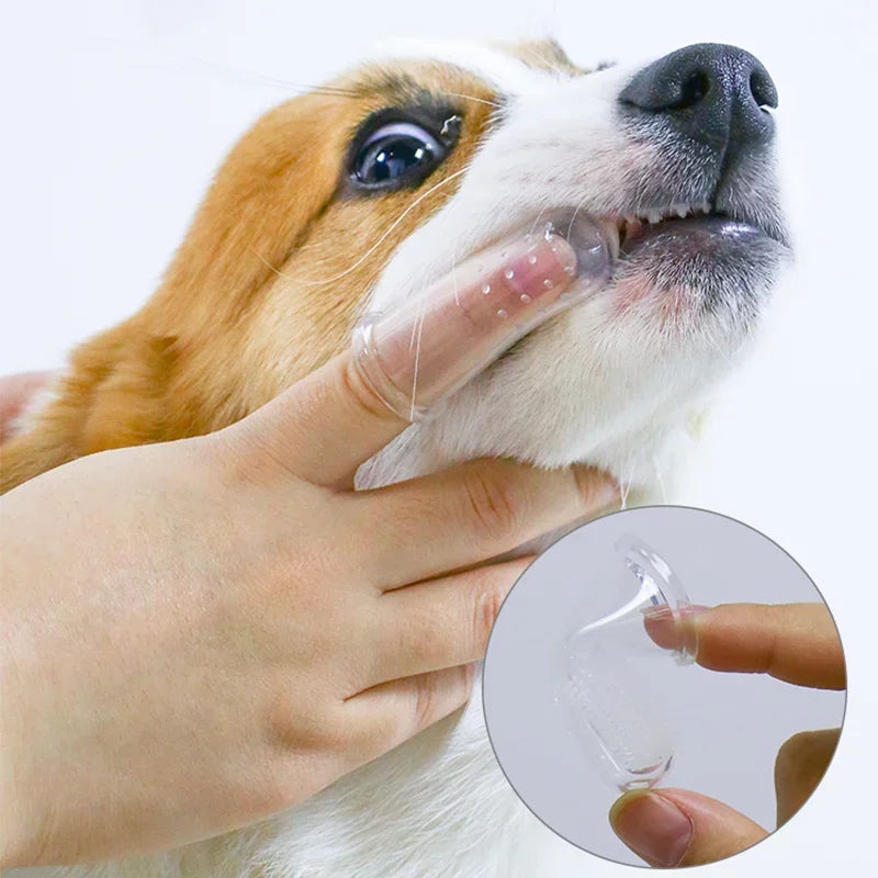 Silicone Pet Finger Toothbrush for Dogs & Cats | Dental Care Pet Finger Toothbrush QXL