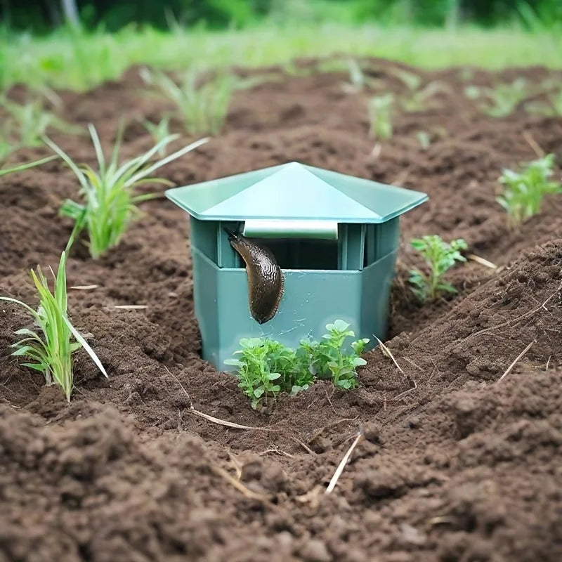 Garden Snail & Slug Traps – Chemical-Free 2 or 4 Pack Garden Pest Trap QXL