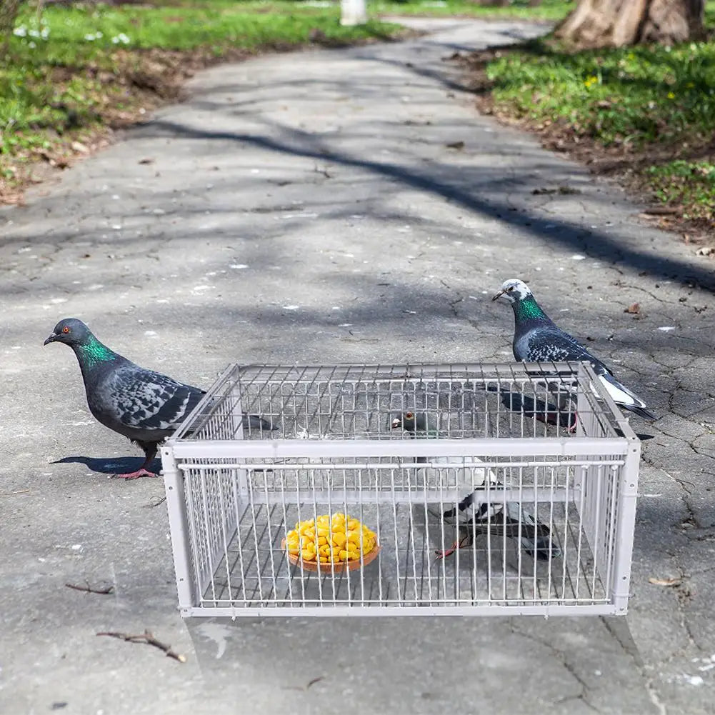 Automatic One-Way Bird Trap Cage | Pigeon & Small Animal Bird Trap Cage QXL