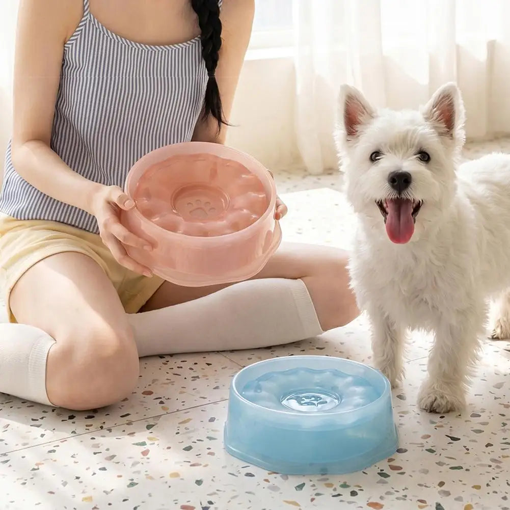 Floating Dog Water Bowl | Slow Feeder No-Slip Dispenser Pet Water Bowl QXL