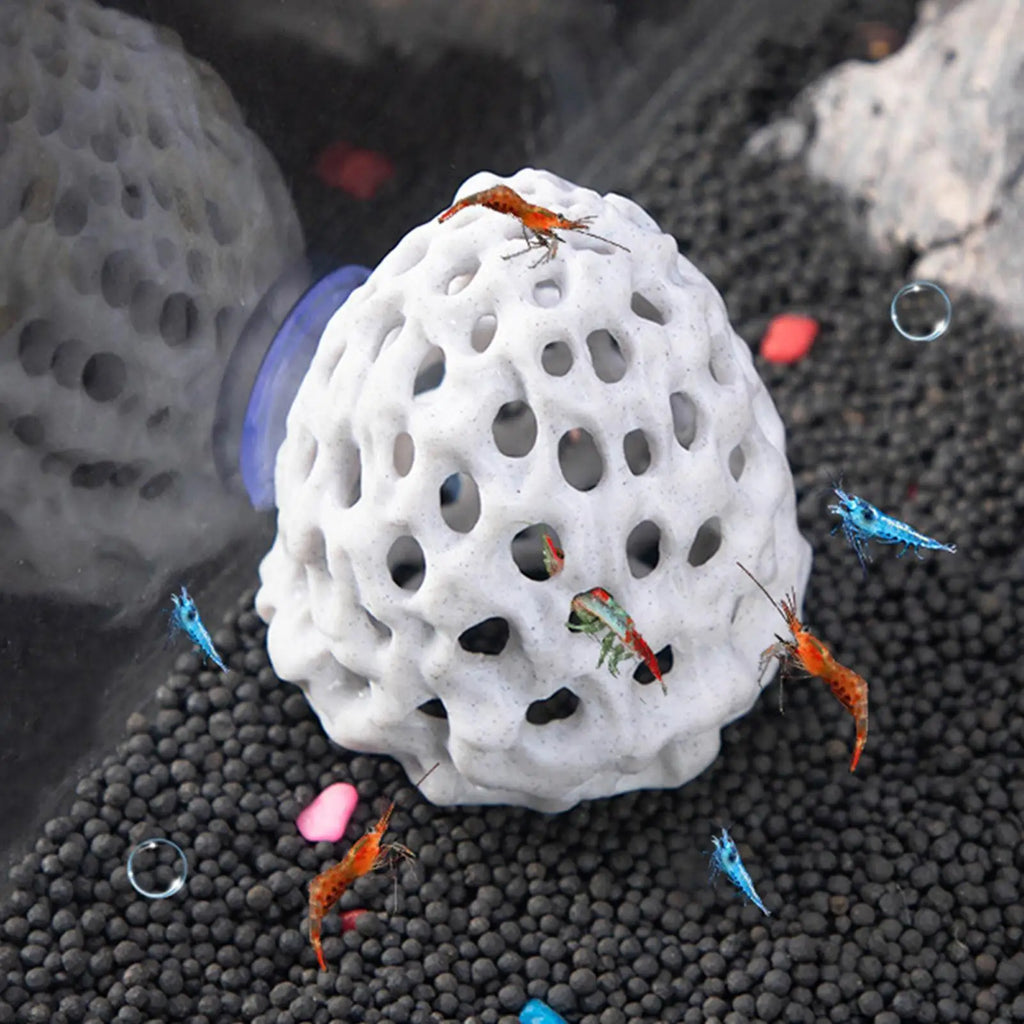 Aquarium Shrimp Hide with Suction Cup | Betta & Guppy Hideout Aquarium Hideout QXL