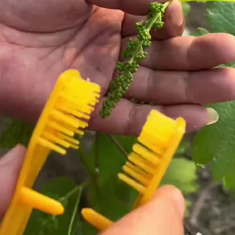 Grape Bud & Flower Thinning Clip | Handheld Pruning Tool Garden Pruning Clip QXL