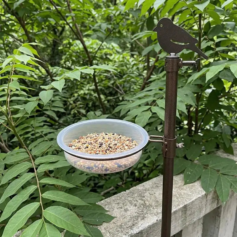 Transparent Circular Bird Feeder Bowl | Window & Garden Bird Feeder Bowl QXL