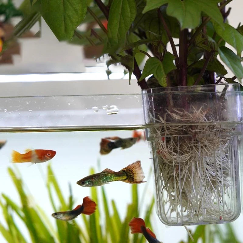 Wall-Mount Hydroponic Planting Cup | Clear Fish Tank Decor Hydroponic Planting Cup QXL