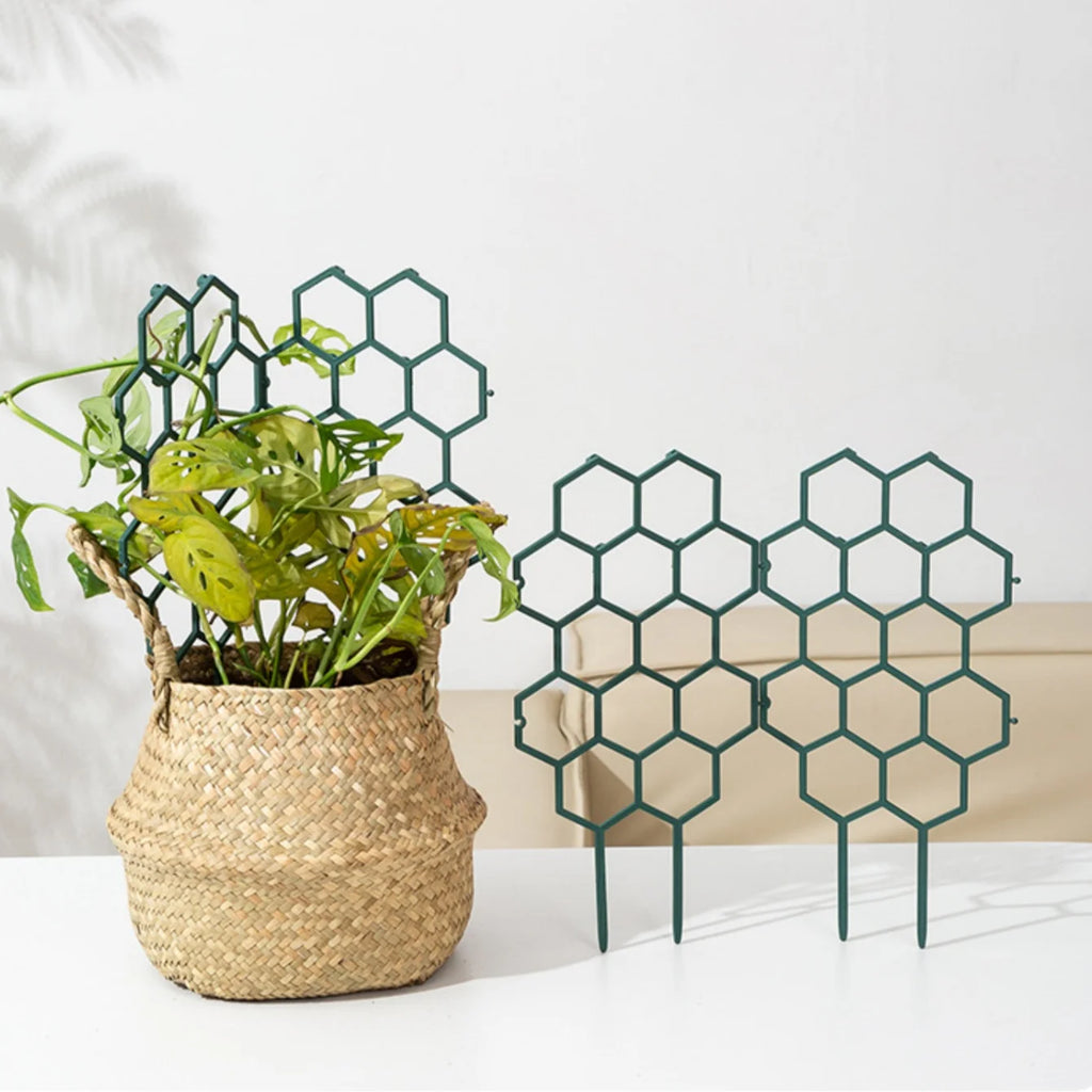 Climbing Vine Plant Support Frame | Flower Pole for Pots Plant Support Frame QXL