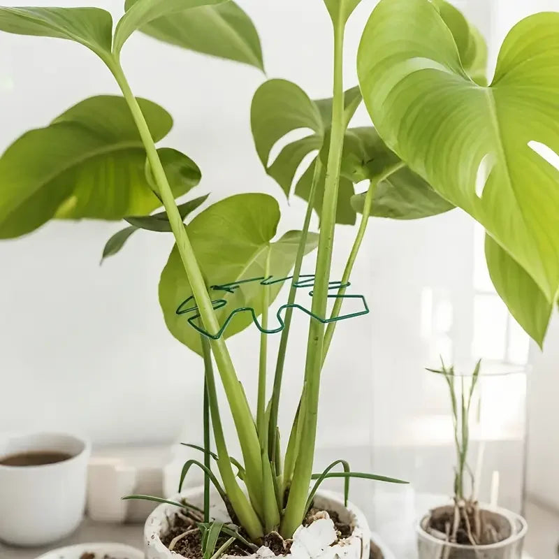 Metal & Bamboo Monstera Climbing Plant Support Stake Plant Support Stake QXL