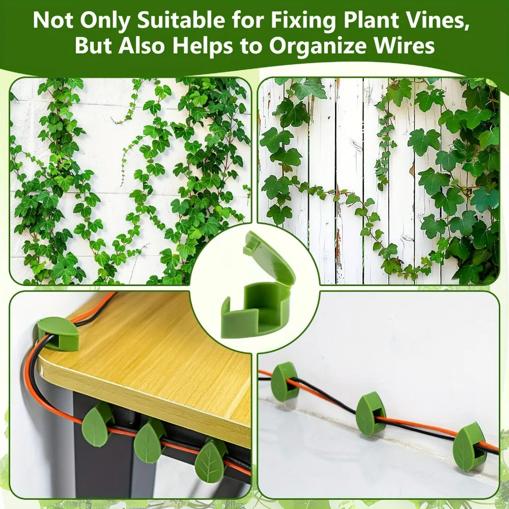 Self-Adhesive Leaf Plant Wall Clips – 10 or 20 Pack Plant Wall Clips QXL