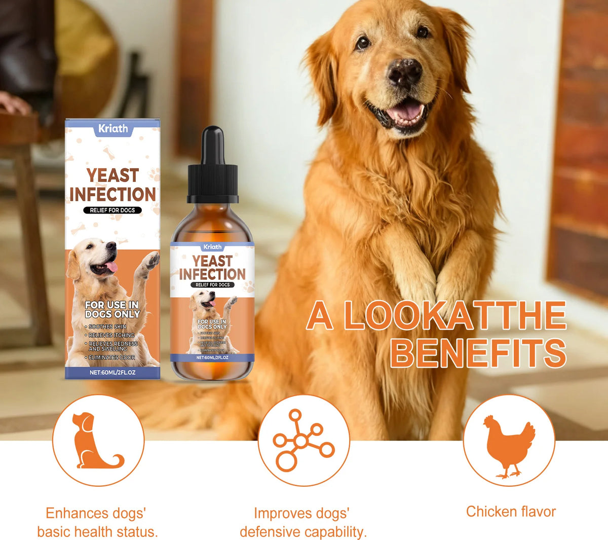 Dog Herbal Drops – Skin, Coat & Immune Support 60ml Dog Wellness Supplement QXL