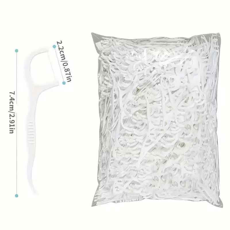 100-Piece Portable Dental Floss Picks | Travel Oral Care Dental Floss Picks QXL