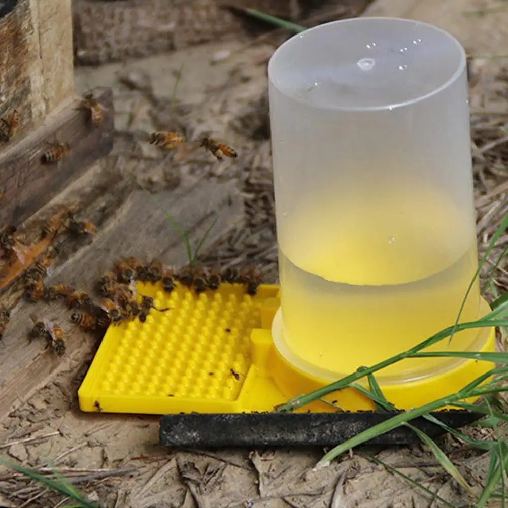 High-Capacity Bee Feeder & Water Station | Beekeeping Tool Bee Feeder QXL
