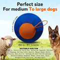 Large Dog Herding Ball – Interactive PVC Training & Play Toy Dog Herding Ball QXL 1pcs