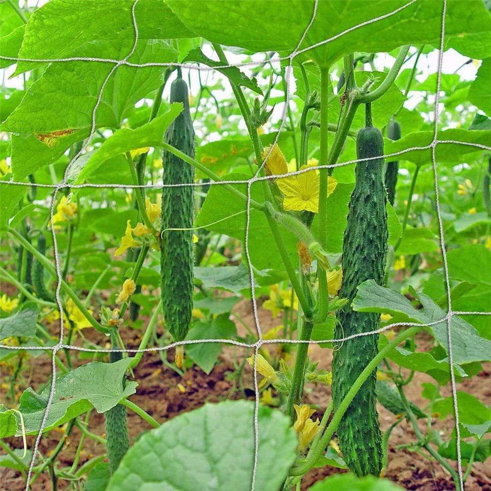 Heavy-Duty Polyester Plant Trellis Net | Vine Climbing Support Garden Trellis Netting QXL