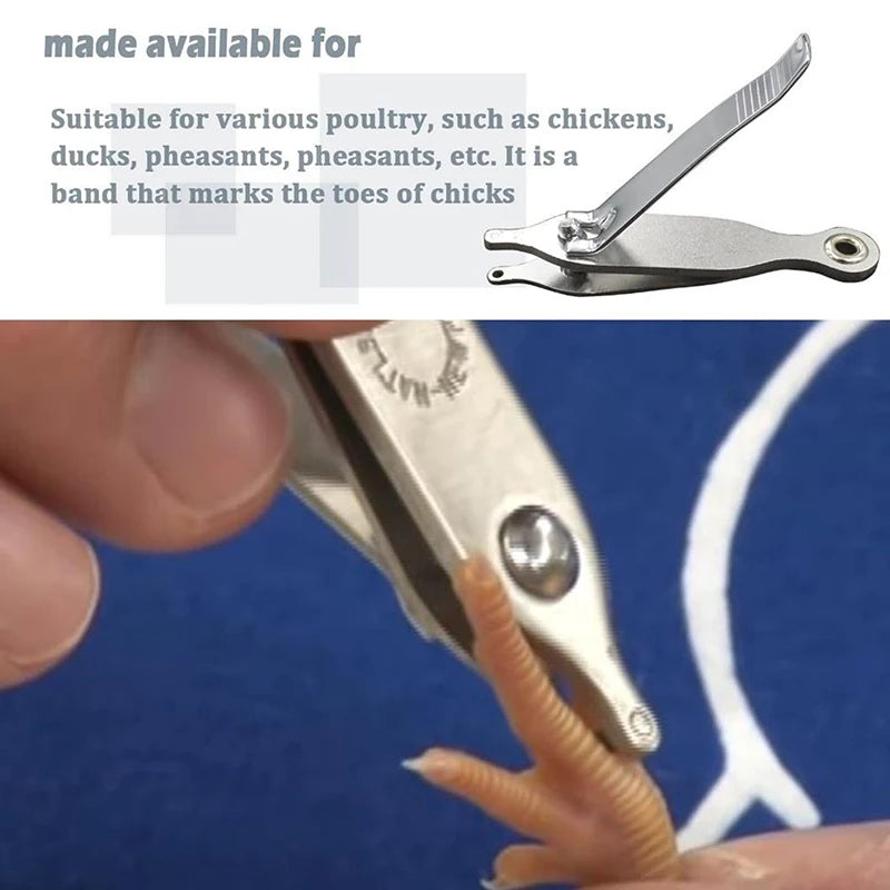 Chicken Toe Punch | Poultry & Small Animal ID Marking Tool Animal ID Punch Tool QXL