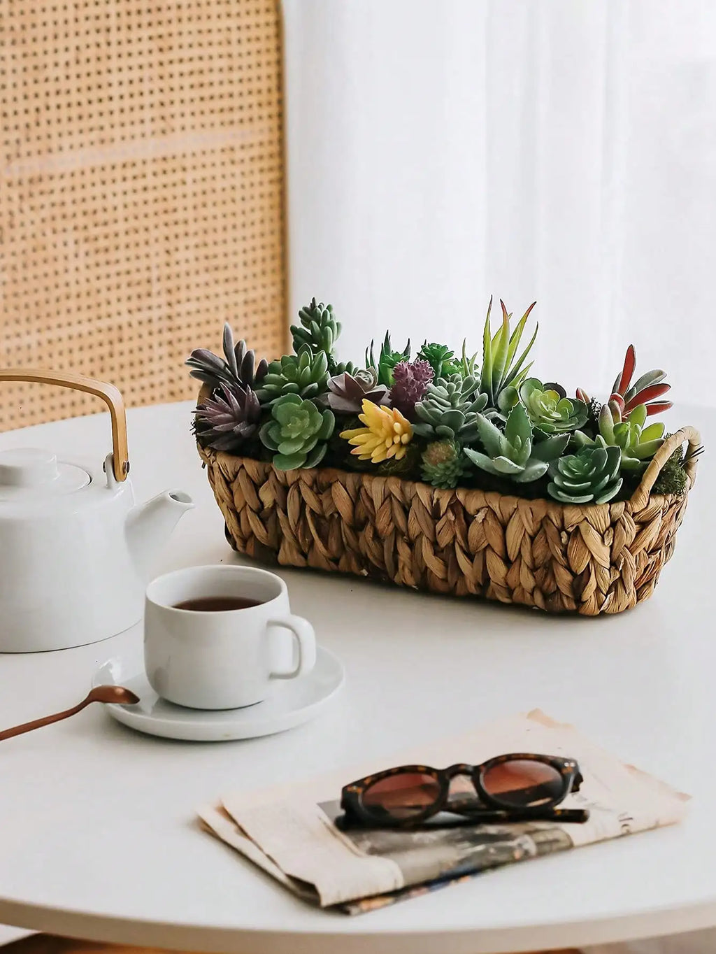 Mini Faux Succulents & Cactus Set | Flocked Artificial Plants Artificial Succulents QXL