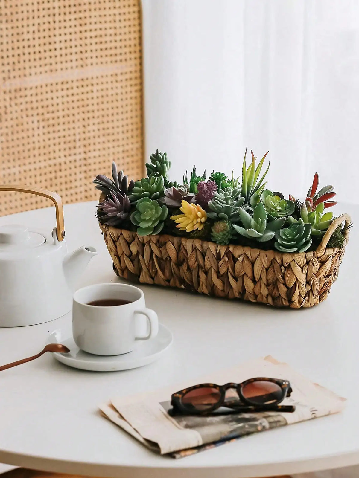 Mini Faux Succulents & Cactus Set | Flocked Artificial Plants Artificial Succulents QXL