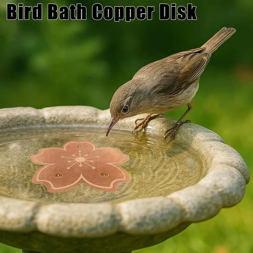 Copper Bird Bath Disk | Natural Algae-Reducing Water Plate Bird Bath Accessory QXL