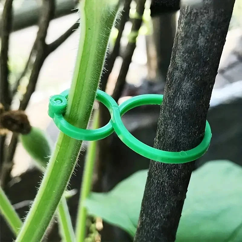 8-Figure Plant Clips for Tomatoes & Vines | Garden Support Garden Plant Clips QXL