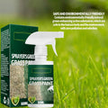60ml Lawn Green Spray Paint | Pet-Safe Turf Dye Lawn Turf Dye Spray QXL 60ml