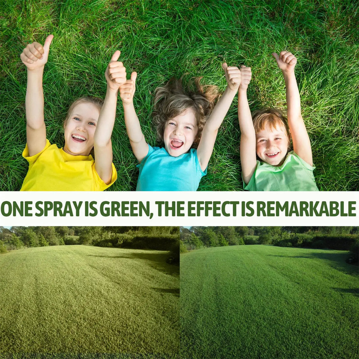 60ml Lawn Green Spray Paint | Pet-Safe Turf Dye Lawn Turf Dye Spray QXL