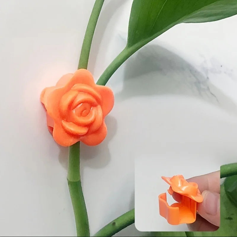 Self-Adhesive Plant Climbing Wall Clips & Fixing Hooks Plant Climbing Clips QXL