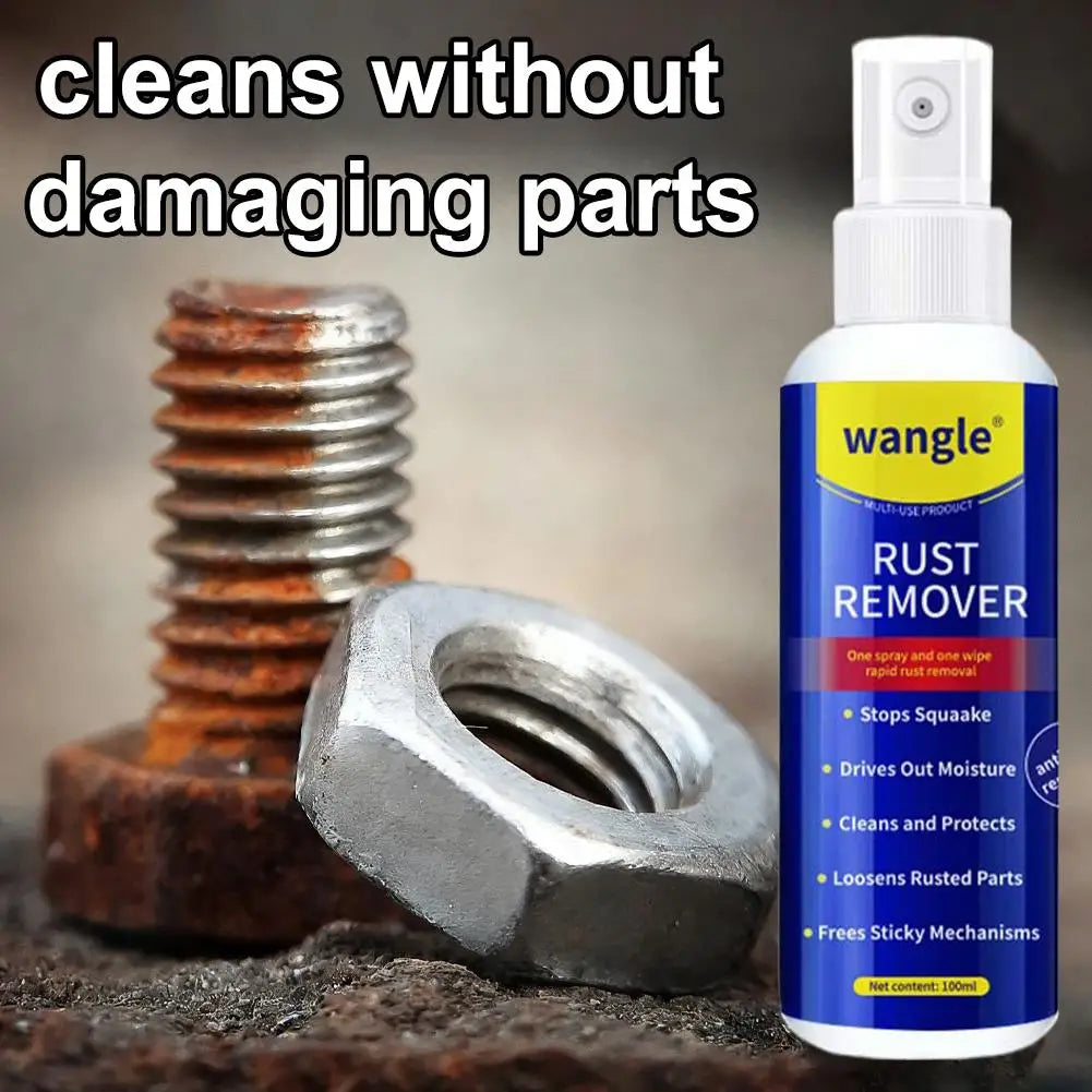 Anti-Rust Lubricant Spray 100ml | Rust Remover & Protector Rust Remover Spray QXL