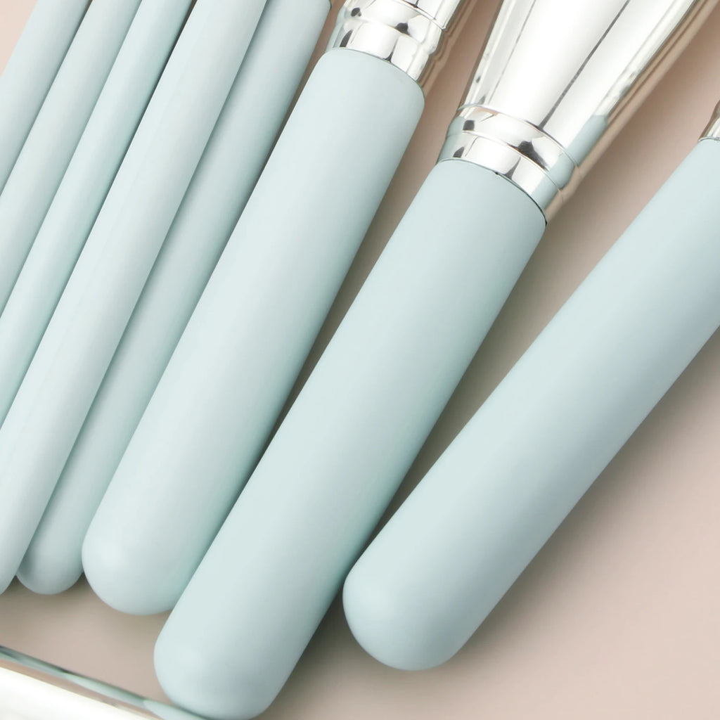 12-Pc Light Blue Makeup Brush Set + Bag | Ronshadow Makeup Brush Set QXL