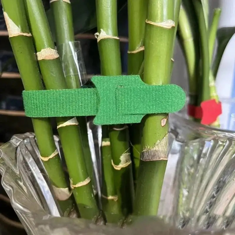Adjustable Nylon Plant Ties 50/100/200pc | Reusable Garden Garden Plant Ties QXL