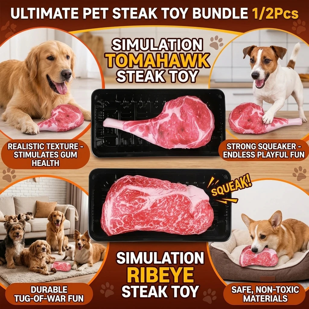 Squeaky Plush Steak Dog Toy | Chew & Fetch for Puppies Squeaky Dog Toy QXL