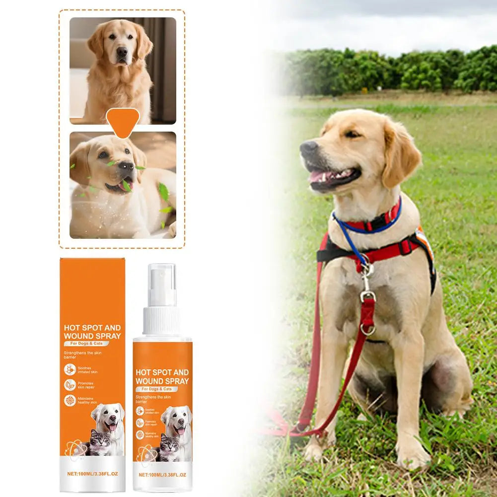 Pet Skin Care Spray for Dogs & Cats | Botanical Formula 100ml Pet Skin Spray QXL