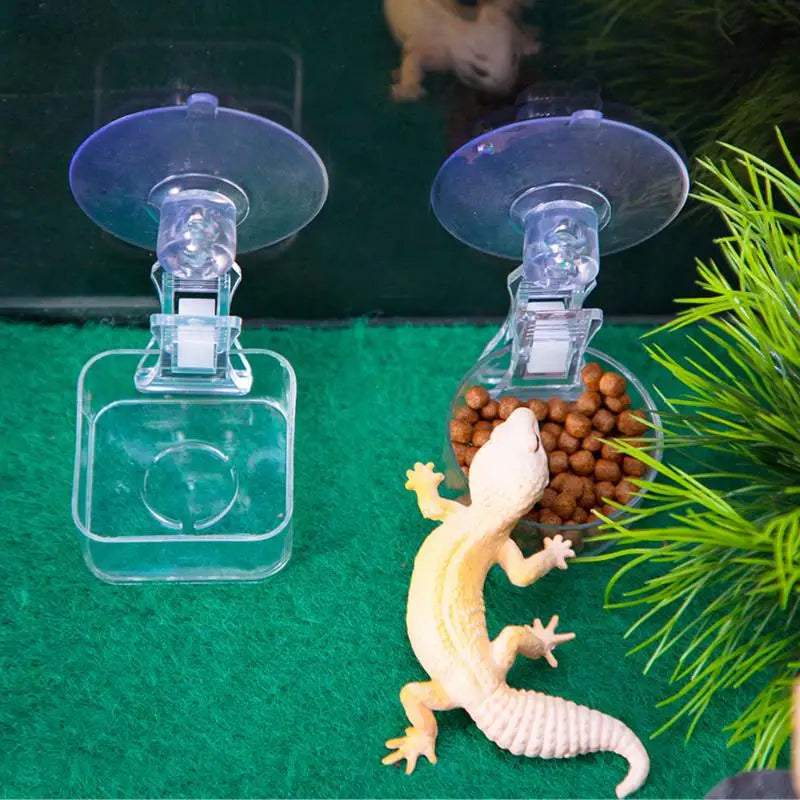 Reptile Suction Cup Feeder Bowl for Gecko Lizard Frog & Snake Reptile Feeder Bowl QXL