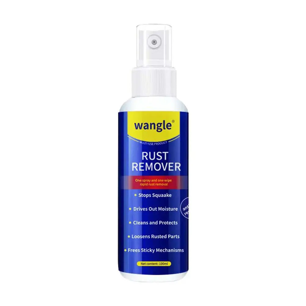 Anti-Rust Lubricant Spray 100ml | Rust Remover & Protector Rust Remover Spray QXL