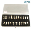 28-Tooth Permanent Dental Teaching Model | Practice & Study Dental Teaching Model QXL A