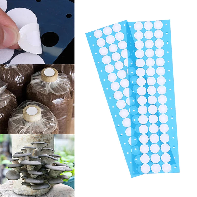 48-Pack 20mm EPTFE Filter Discs for Mushroom Jar Lids Jar Lid Filter Disc QXL one size