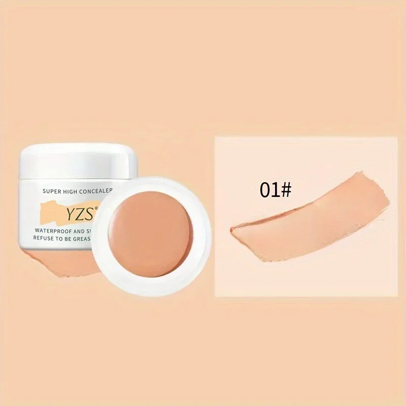 VERONNI Waterproof Full Coverage Concealer Cream 12g Concealer Cream QXL 01