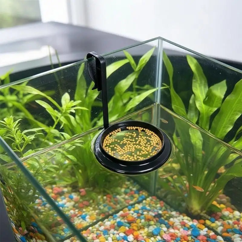 Aquarium Floating Feeding Ring | Fish Tank Food Tray 1/2/5-Pack Aquarium Feeding Ring QXL