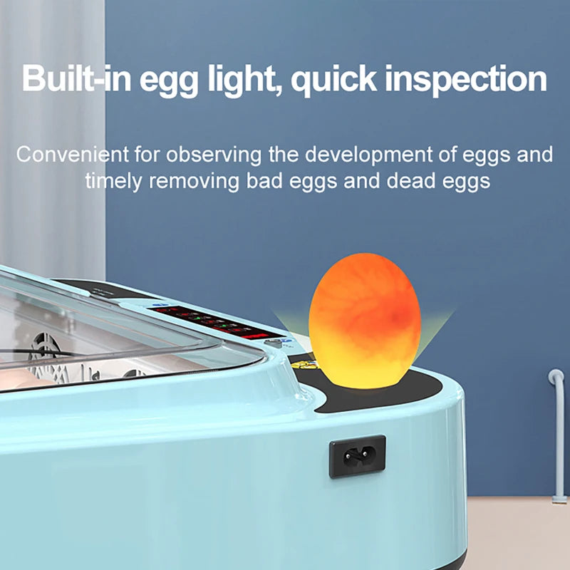 6-Egg Automatic Incubator – Chicken, Duck & Quail Egg Incubator QXL