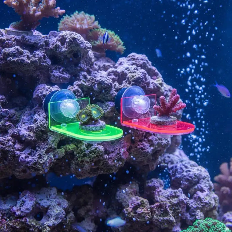 Acrylic Fluorescent SPS Coral Frag Rack & Plug Holder Coral Frag Rack QXL