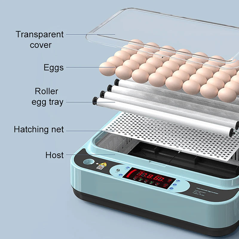 6-Egg Automatic Incubator – Chicken, Duck & Quail Egg Incubator QXL