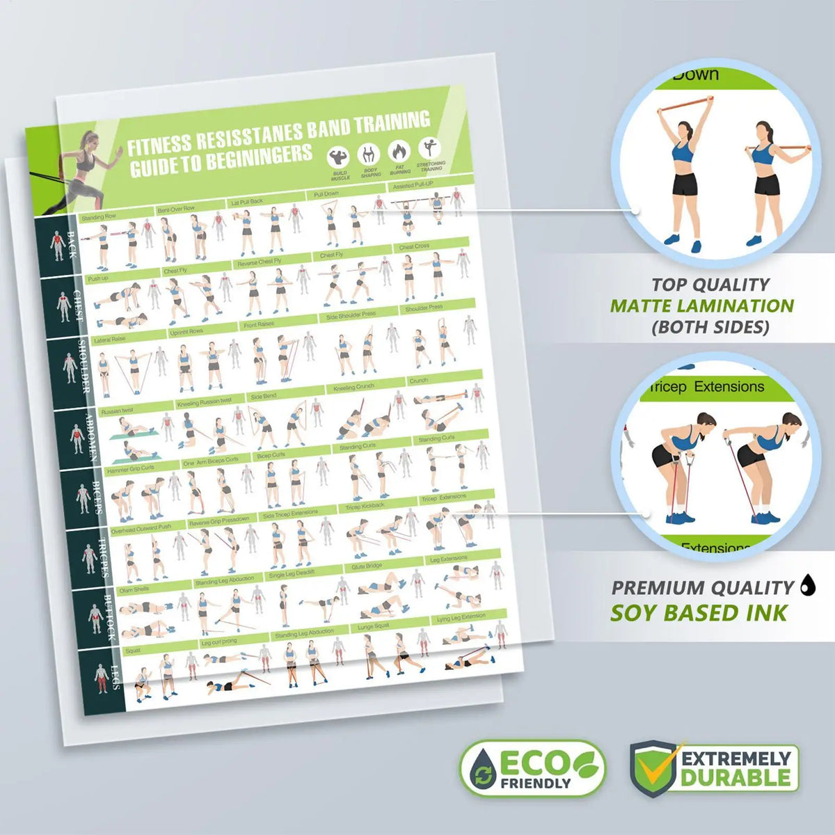 Workout Poster | Resistance Band & Gym Exercise Wall Chart Fitness Wall Chart QXL