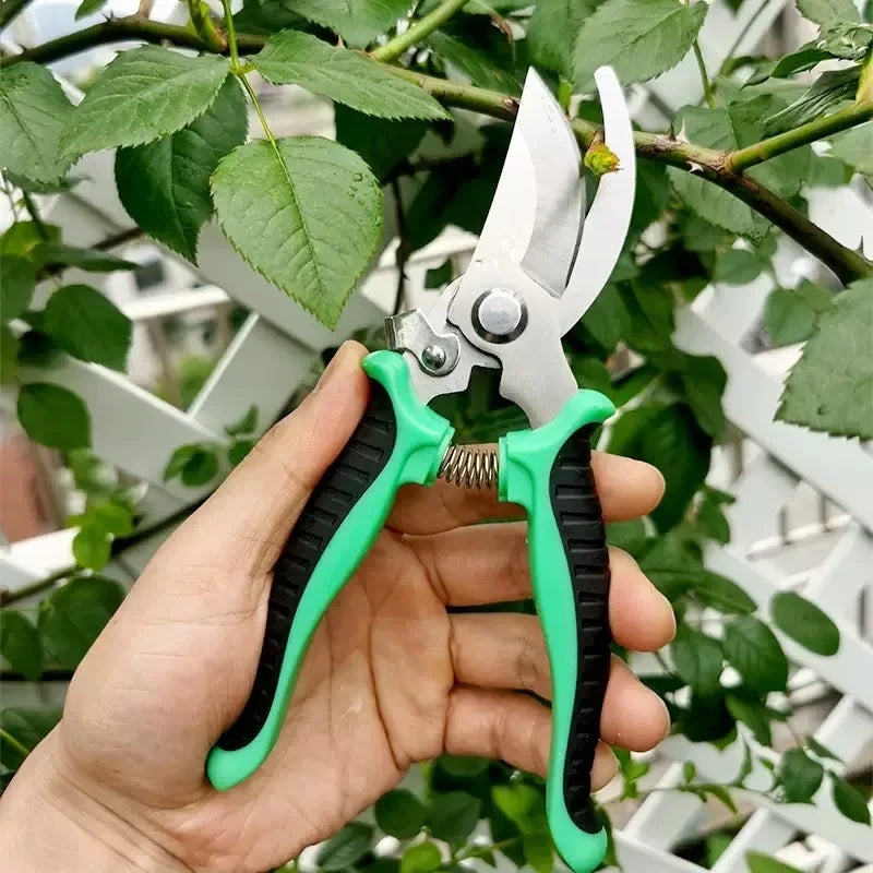 Professional Garden Pruning Shears – Stainless Steel Branch Trimmer Garden Pruning Shears QXL