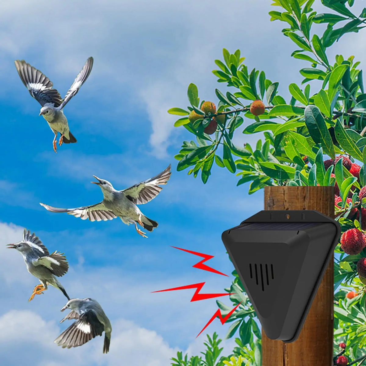 Solar Bird Repeller with Sound | Waterproof Outdoor Deterrent Solar Animal Repeller QXL